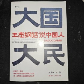 大国大民——王志纲话说中国人