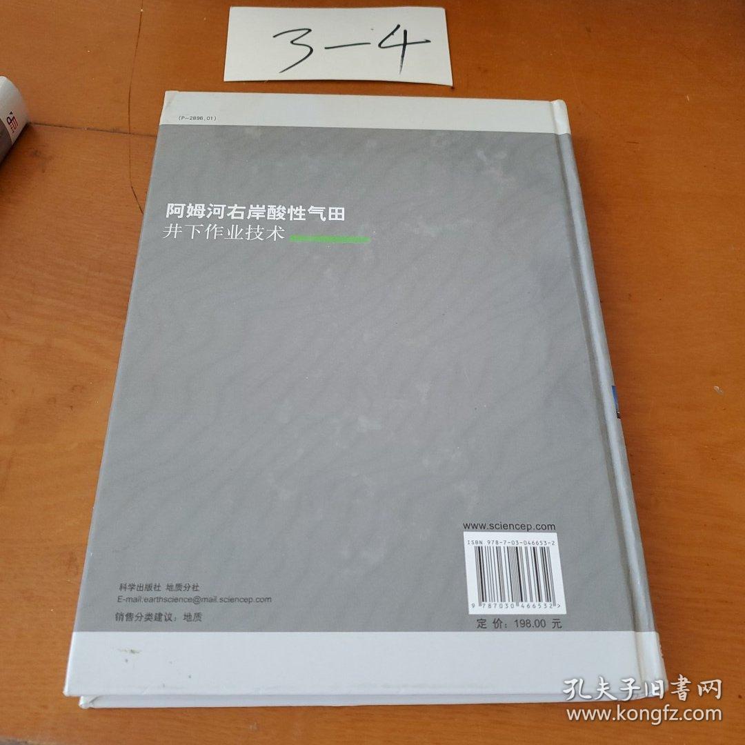 阿姆河右岸酸性气田井下作业技术