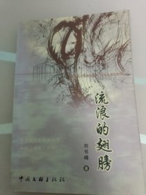 流浪的翅