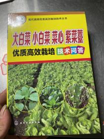 现代蔬菜优质高效栽培技术丛书：大白菜、小白菜、菜心、紫菜薹优质高效栽培技术问答