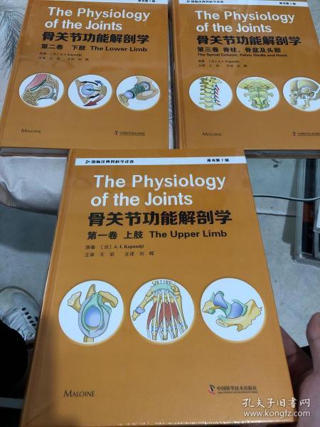 骨关节功能解剖学:第一卷上肢（原书第7版）