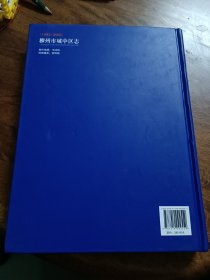 柳州市城中区志 : 1991～2005