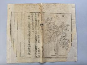 清代来鹿堂木刻本古籍《救荒本草》散页一张