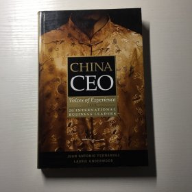 China CEO: Voices of Experience from 20 International Business Leaders  中国首席执行官