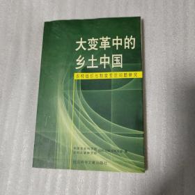 大变革中的乡土中国:农村组织与制度变迁问题研究