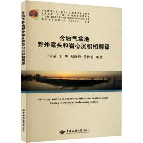 保正版！含油气盆地野外露头和岩心沉积相解译9787562548751中国地质大学出版社王家豪[等]编著