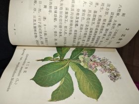 疟疾防治中草药选（彩图）