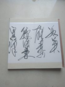 著书书法家诗人王长征草书泌园春雪册页
