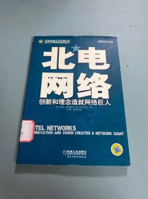 北电网络：创新和理念造就网络巨人（世界500强企业发展丛书）