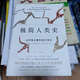 极简人类史：从宇宙大爆炸到21世纪