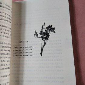 李宇春麈谈：聊赠一支春