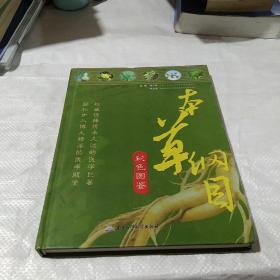 本草纲目彩色图鉴（下卷）