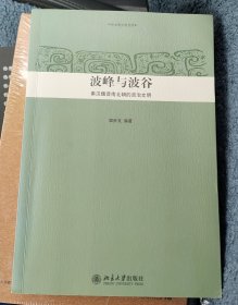 波峰与波谷：秦汉魏晋南北朝的政治文明