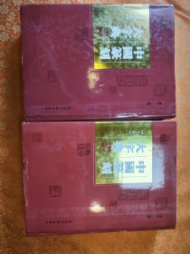 中国篆刻大字典上中（两本）