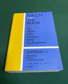 房间里的成年人