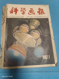 科学画报 月刊 合订本 1987 1-12 全年