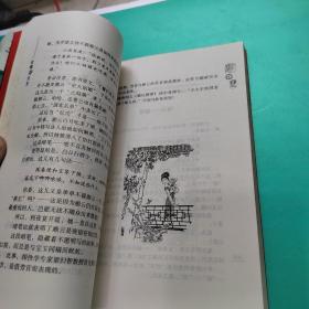 红楼夺目红