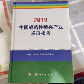 2019中国战略性新兴产业发展报告