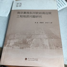 南京秦淮东河软岩高边坡工程地质问题研究