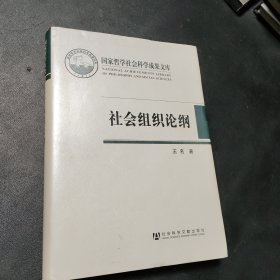 国家哲学社会科学成果文库：社会组织论纲