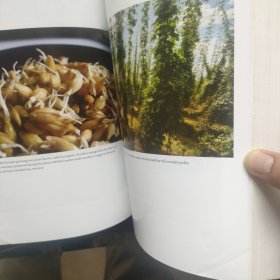 The Oxford Companion to Beer 牛津啤酒指南【英文版，精装大16开无酸纸印刷】
