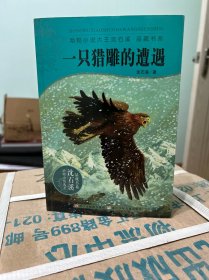 动物小说大王沈石溪·品藏书系·一只猎雕的遭遇签名版