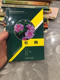 浙东白鹅