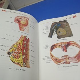 人体解剖学速记彩色图谱