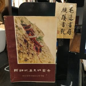 绵阳地区文物简介