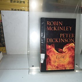 fire ：tales of elemental spirits