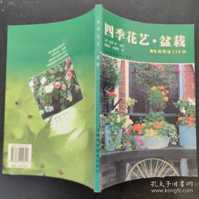 四季花艺盆栽