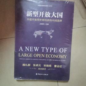 新型开放大国：共建开放型世界经济的中国选择。全新未开封