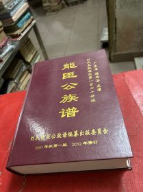 能臣公族谱【广东省揭西县龙潭刘氏】
