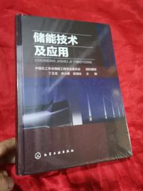 储能技术及应用 （16开，精装，未开封）