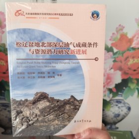 松辽盆地北部深层油气成藏条件与资源潜力研究新进展