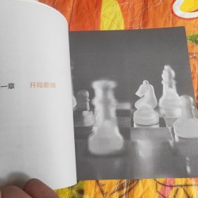 谢军教你下国际象棋系列：国际象棋开局宝典