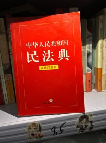 中华人民共和国民法典（实用问题版）