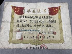 1956年长春市南关区西五马路小学毕业证书