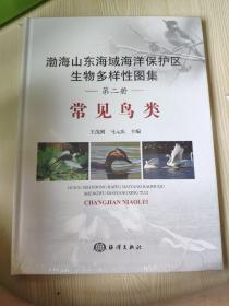 渤海山东海域海洋保护区生物多样性图集——常见鸟类