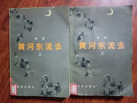 黄河东流去（上下）