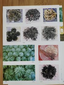 4张！茶与名茶广告