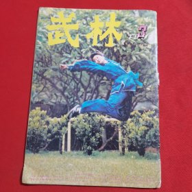 11794：武林 1991年第3期 螺旋拳第一路（二）；第二路杀手掌（二）；实用二节棍（二）；峨眉金刚应手法（下）；腿技演练（五）；