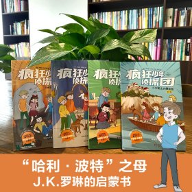 疯狂少年侦探团：全4册