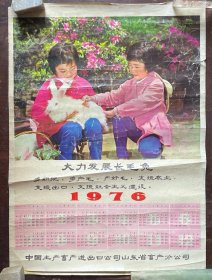 1976年年历（大力发展长毛兔）