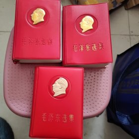 毛泽东选集一卷本金头像