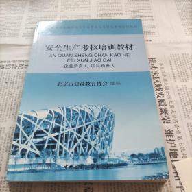 安全生产考核培训教材：企业负责人 项目负责人