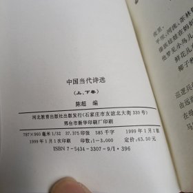 中国当代诗选（下）