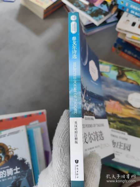 泰戈尔诗选 英汉对照注释版 世界经典文学名著双语系列[印]Rabindranath Tagore（拉宾德拉纳特·泰戈尔）9787501594771
