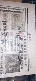 歙县报1959年