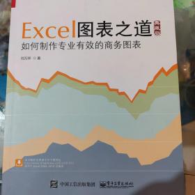 Excel图表之道 如何制作专业有效的商务图表（典藏版）